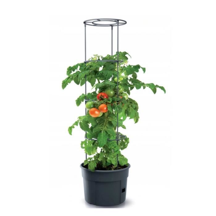 Pot pour pied de tomates 12L Tomato Grower IPOM300-S433