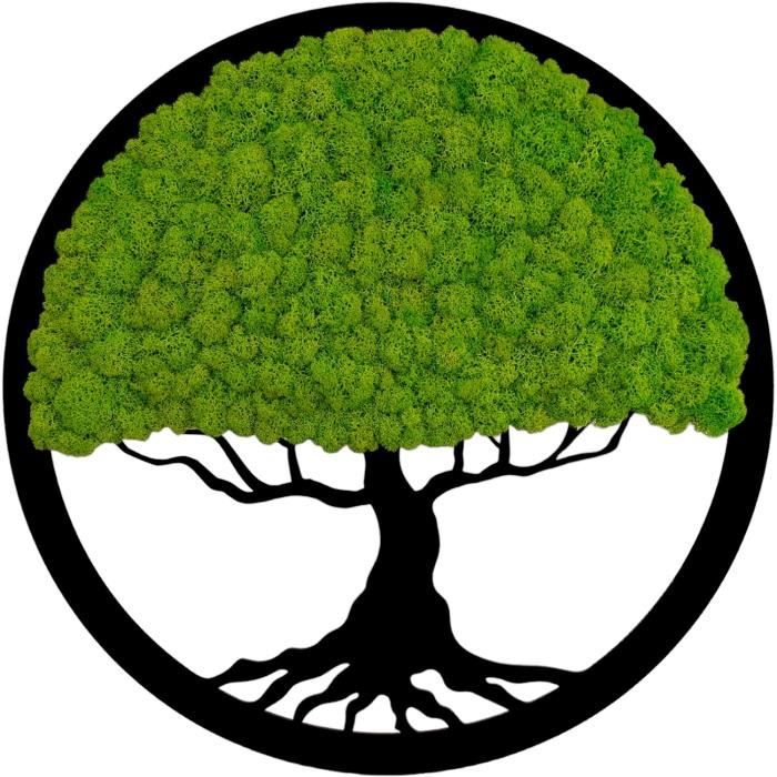 ProArts Arbre Bonsaï Ronde En Mousse Naturelle – Décoration Murale 40x40 Cm, Lichen De Renne Préservé, Style Japandi & Naturel