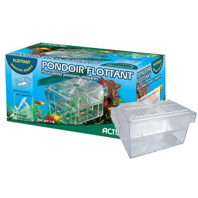 Pondoir flottant pour poisson