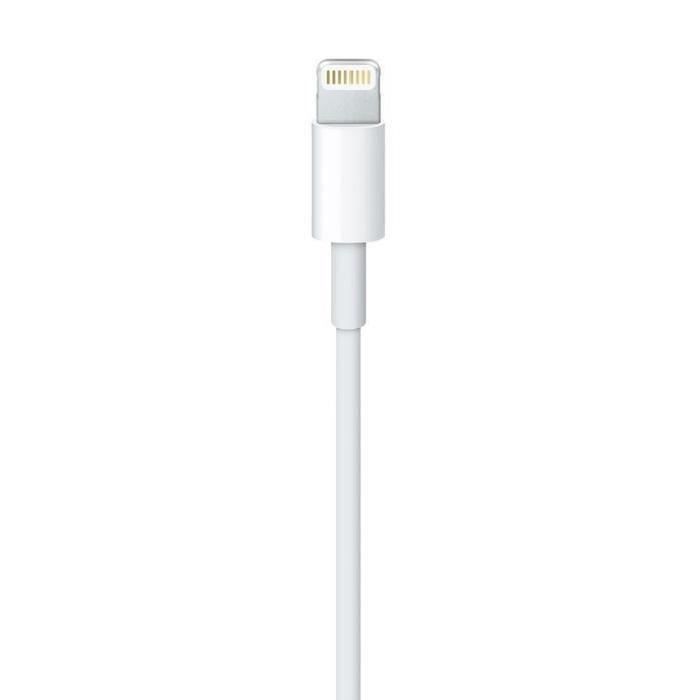 Chargeur de voiture rigide Lightning/USB pour Apple iPhone 5/5S
