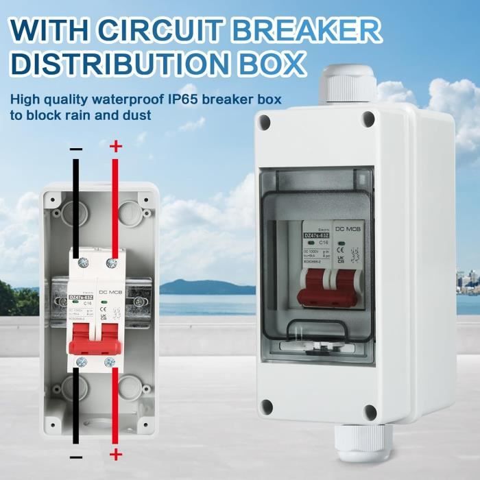 Disjoncteur Bipolaire 2P 30-60A - Protection Circuits 220V 50/60Hz
