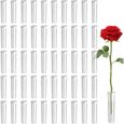 100 Tubes à Eau pour Fleurs en Plastique Réutilisables avec Bouchon en Silicone 10 ml - HUAHAODA-0
