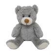 Global Diffusion - Bouillotte Micro Onde - Peluche Ours Gris - 30 Cm-0