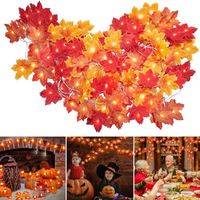 Decoration automne - 40 LED 6M  Guirlandes lumineuses, Guirlande de feuilles d'automne, murale,Noël, décoration festive