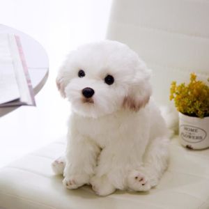 Vrai chien peluche on sale