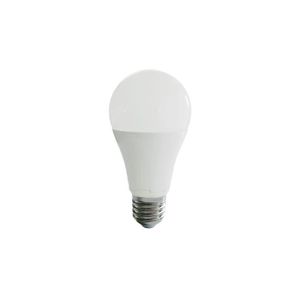 AMPOULE - LED Ampoule LED Globe E27 - 12W