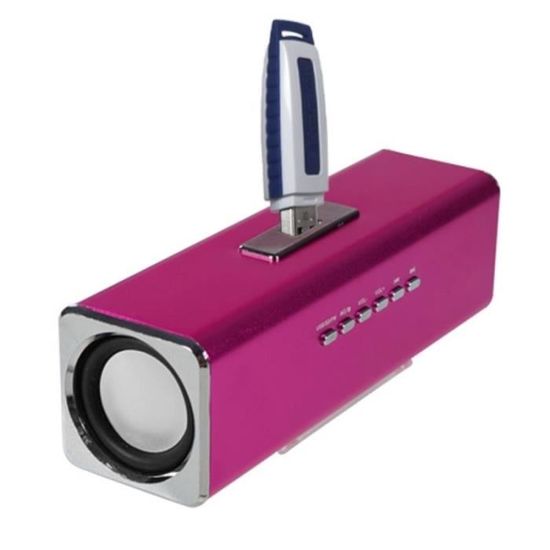 DeLOCK Haut-Parleur USB stéréo 2.0 avec Prise Jack 3,5 mm et Alimentation USB