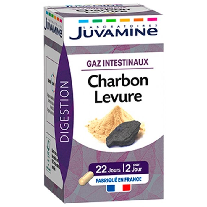 Juvamine Gaz Intestinaux Charbon Levure 45 gélules