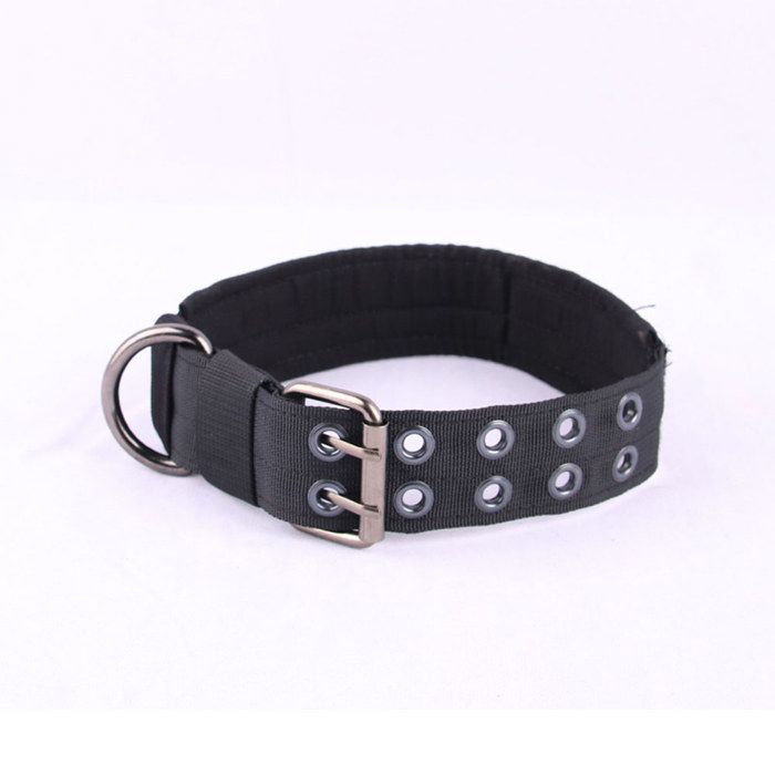 Collier pour chien pour grand chien pitbull collier en nylon robuste et épais