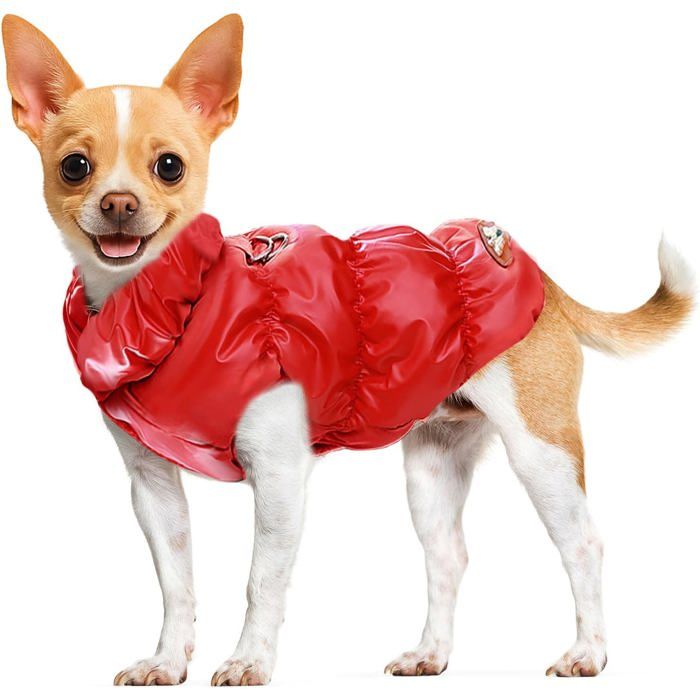 Manteau pour chien-Manteau dhiver chaud pour chien-Manteaux pour chiens par temps froid-Manteau chaud pour chienGilet polaire-XS