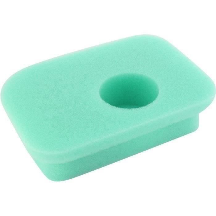 Filtre à air BRIGGS ET STRATTON 270447