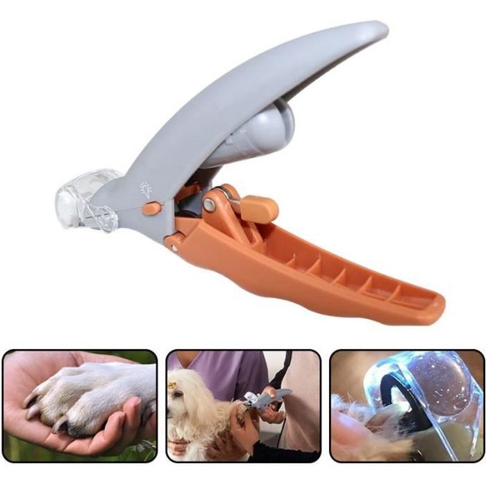 coupe griffe pour chat, coupe-ongles pour chien taille-crayon loupe led