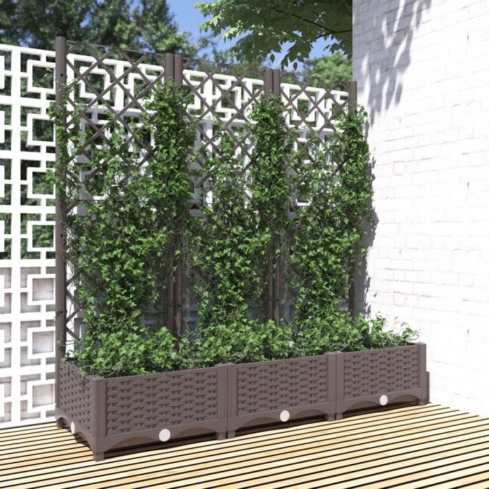 vidaXL Jardinière avec Treillis Bois de Sapin - vue 8