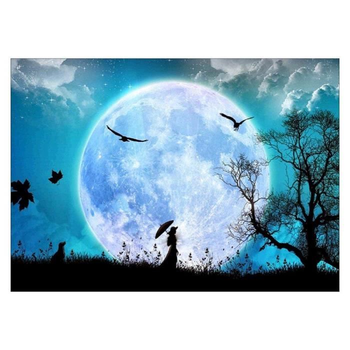 Femme sous la Lune 5D DIY Full Drill Diamond Painting Artisanat Peinture  Diamant Kit Complet Point de Croix 40*30cm - Achat / Vente tableau - toile  - Cdiscount
