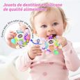 Jouet Hochet Bebe pour 3 Mois, Jeux d’Eveil Balle Sensorielle Bebe 0-6 Mois, Développe la motricité et l'éveil de votre enfant-2