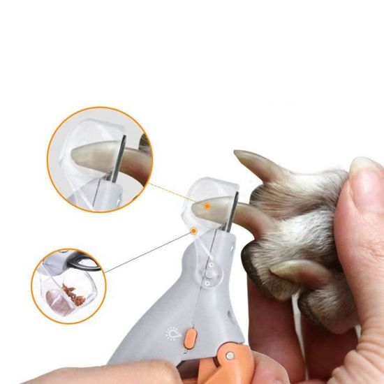 Coupe Griffe Pour Chat Coupe Ongles Pour Chien Taille Crayon Loupe Led Cdiscount