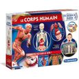 Corps humain