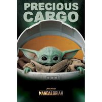 P.Derive STAR WARS - The Mandalorian - Poster 61X91 - Precious Cargo 