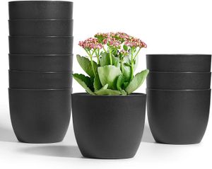 PROGRAMMATEUR ARROSAGE 10 pcs Pot de Fleur d'arrosage Automatique 12 cm Noir Niveau d'eau Visible Maison Décorative Fleur Pot Fleurs Applicables,.[Q306]