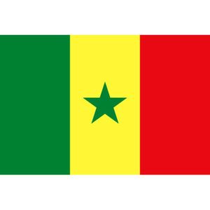 DRAPEAU - BANDEROLE Drapeau Sénégal Sénégalais - Dimension 150 X 90 cm - Ourlets