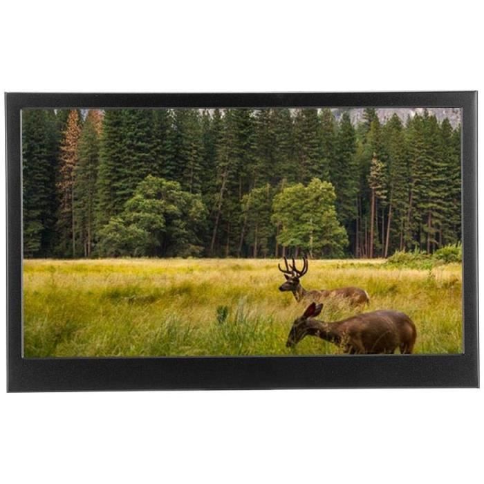 Écrans PC Moniteur Portable, écran Full HD 1920 x 1080 de 13,3 Pouces 1080P Écran IPS Mini-Moniteur Full HDMI de Type C 1908