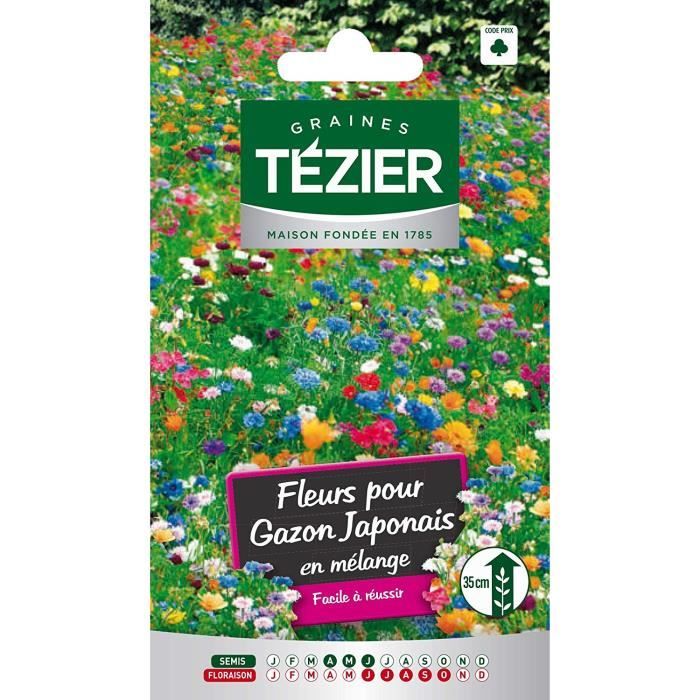 Tezier - Fleurs pour gazon Japonais -- Fleurs annuelles - Sachet Fleurs - Fleurs annuelles à utiliser sur ROCAILLES et MASSIFS BAS