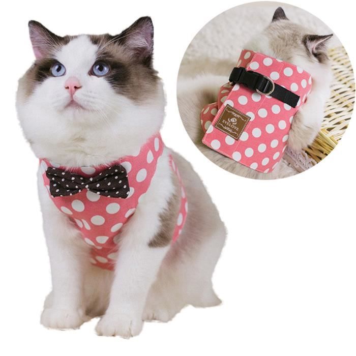 Harnais Gilet De Protection En Forme De H Pour Chat Chien Rond Laisse Respirant Laisse De Promenade Rose L Cdiscount Harnais Gilet De Protection En Forme De H Pour Chat Chien Rond Laisse Respirant Laisse De Promenade Rose L Cdiscount