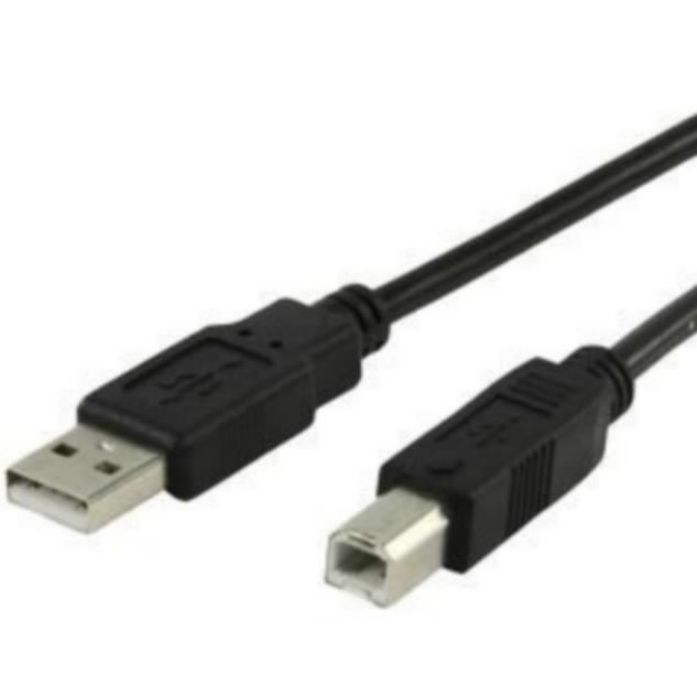 Lot De 100 Câbles USB 2.0 A Mâle Vers B Mâle, 30 Cm, Noirs, Pour Imprimante