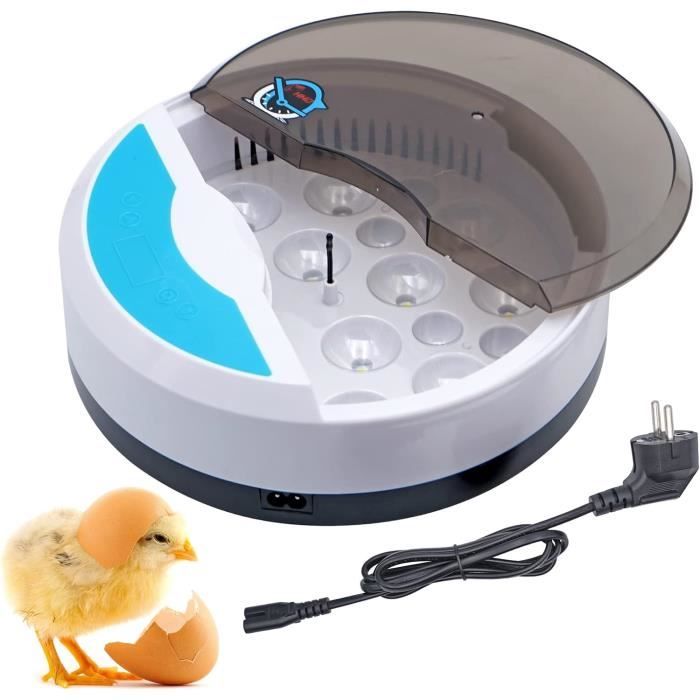 Couveuse Œufs Automatique CoInceptus 16 Œufs - Retournement Et Humidité Auto