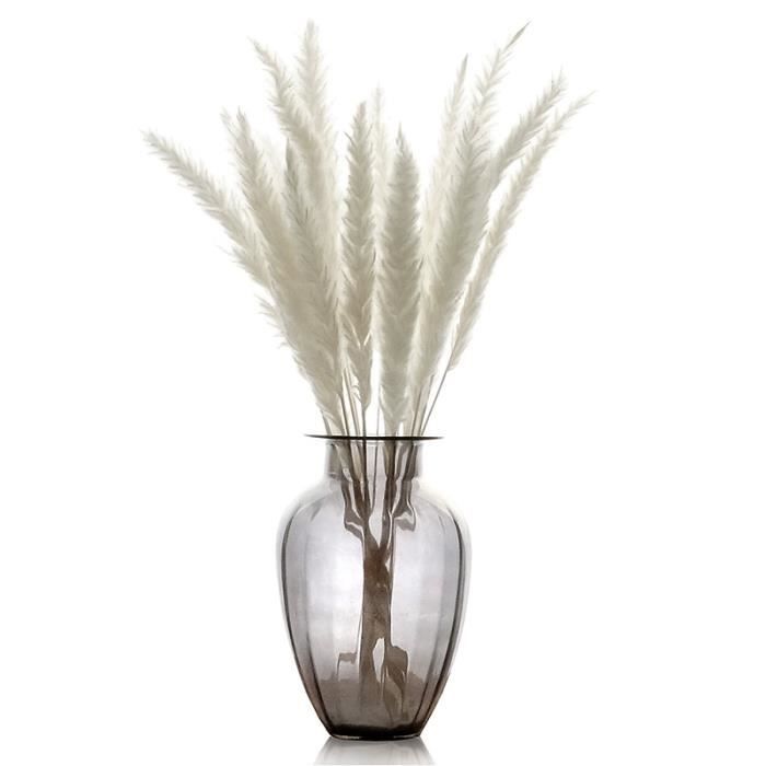 Color : 20pcs raw color, Size : M Fausses fleurs 20 Pcs Plantes S/éch/ées Herbe De Pampa Phragmites Communis Naturelles Couleur Fleur Mariage Bouquet De Fleurs De D/écoration Couleur Raw