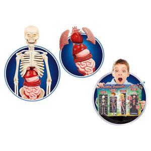 EXPÉRIENCE SCIENTIFIQUE CLEMENTONI Science & Jeu - Le Corps Humain - Jeu s EXPÉRIENCE SCIENTIFIQUE CLEMENTONI Science & Jeu - Le Corps Humain - Jeu s