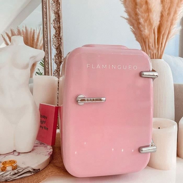 Flamingueo Mini Frigo - Mini Réfrigérateurs 4L, Petit Frigo 12V
