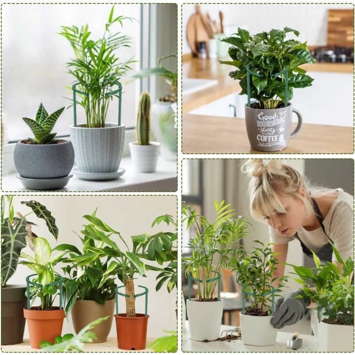 Tuteur, 20 Pièces Tuteur Plante, Tuteur Cercle, Réutilisable Tuteur — free download