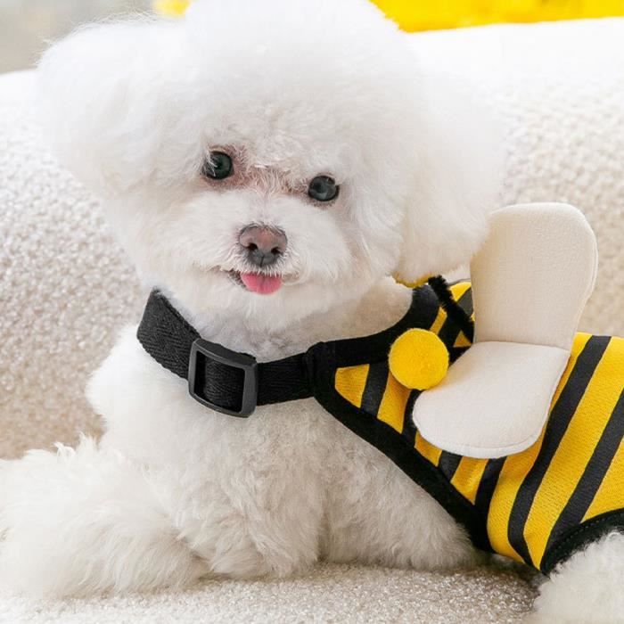 Culotte pour chienne SURENHAP Cute Bee Tissu anti transpiration Reglable Design mignon Cdiscount