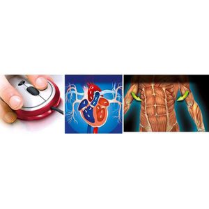 EXPÉRIENCE SCIENTIFIQUE CLEMENTONI Science & Jeu - Le Corps Humain - Jeu s EXPÉRIENCE SCIENTIFIQUE CLEMENTONI Science & Jeu - Le Corps Humain - Jeu s