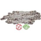 CASA VOSTRE LOT DE 15 FOUETS CATALAN. SAUCISSON SEC