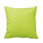 MAISON & MARQUES Taies d'oreillers - Anis - Lot de 2 - 100% coton - 65 x 65 cm - Vert uni