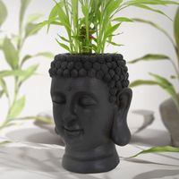 ML-Design Pot de Plantes/Fleurs Tête de Bouddha, 19x20x34 cm, Anthracite, Résine, Intérieur/Extérieur, Statue Massif, Grand Buste Sc