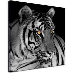 détendue Tiger noir / blanc Taille: 120x80 sur toile, XXL énormes Photos  complètement encadrées avec civière, impression d'art sur murale avec cadre,  moins cher que la peinture ou la peinture à l'huile
