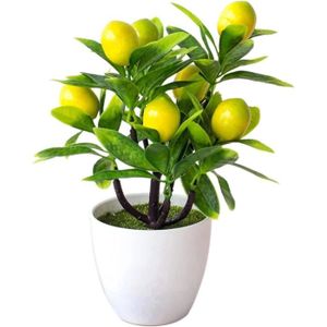 FLEUR ARTIFICIELLE Fausse plante en pot de 24 cm - Mini citronnier artificiel Bonsaï en pot de fausses plantes avec pot blanc Feuille verte Fruit[893]