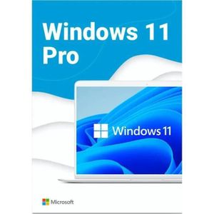 SYST EXPLOIT À TÉLÉCHARGER Microsoft Windows 11 Professionnel (Pro) - 64 bits