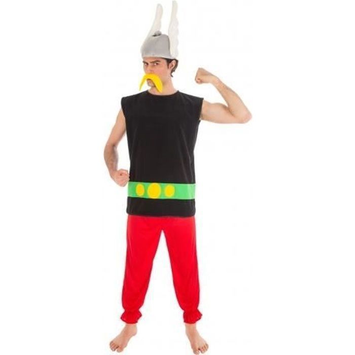 Déguisement Astérix adulte