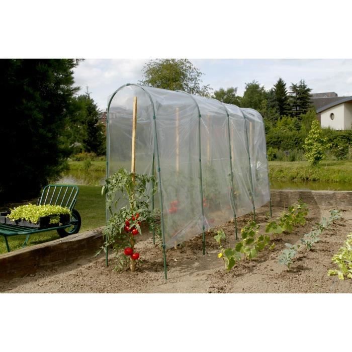 Film de forçage tunnel tomates - Tomato Film- - 5 x 3,50 m