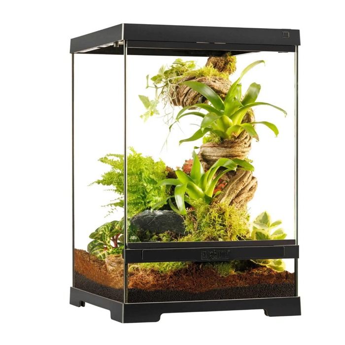 Meilleurs prix pour Terrarium Paludarium 30x30x45cm Reptile Et Amphibien Pro Terrarium Pt4401 - Exo Terra