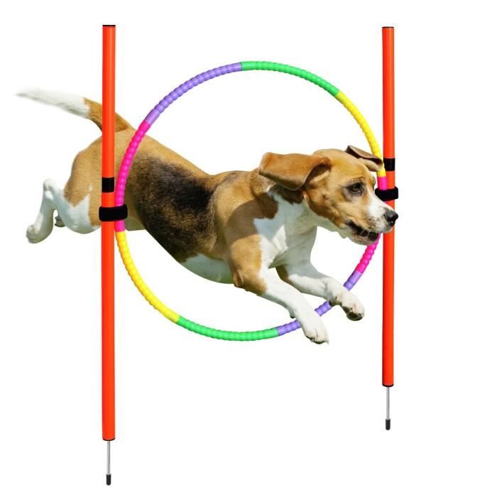 Dog Agility Training Equipment Outdoor Portable Dog Obstacle Training
