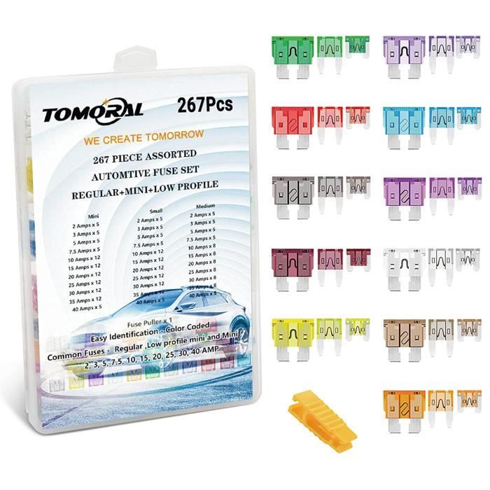 300 Pcs Fusibles Auto Standard Et Mini - Kit Complet Avec Arrache-Fusible (2A à 40A)