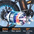 HITWAY Vélo électrique Pliable 20" E-Bike Noir-Orange - Batterie 36V - 11,2Ah - Ecran LCD+HITWAY Sac Noir-2