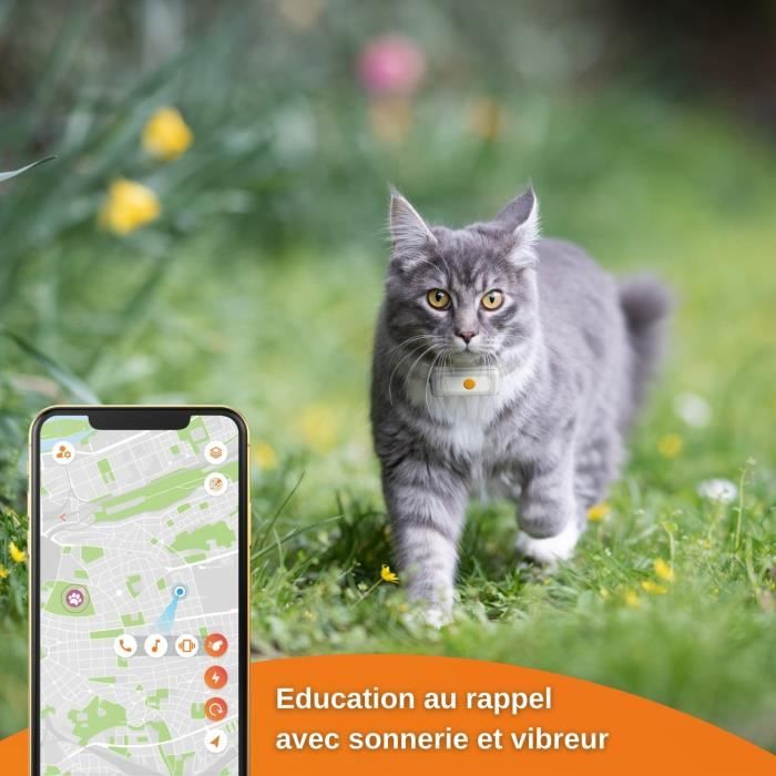 Weenect Cats 2 - Collier GPS pour chat, Suivi GPS en temps réel, Sans  limite de distance, N°1 en France, Plus petit modèle du marché