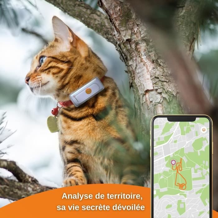 Weenect cats 2 gps tracker cheap