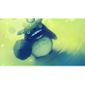 Poster Affiche Peinture Mon Voisin Totoro Manga Anime Miyazaki